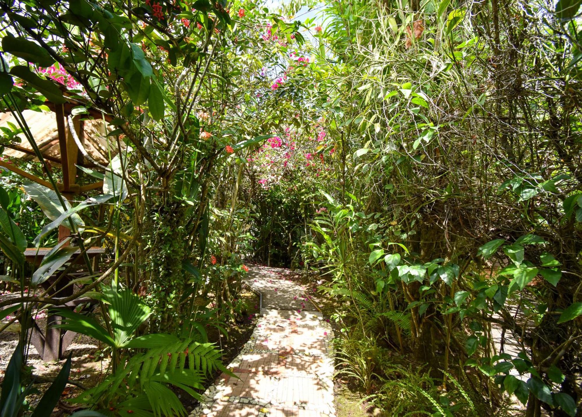 Cabinas Jacaranda Puerto Viejo de Talamanca Exterior photo