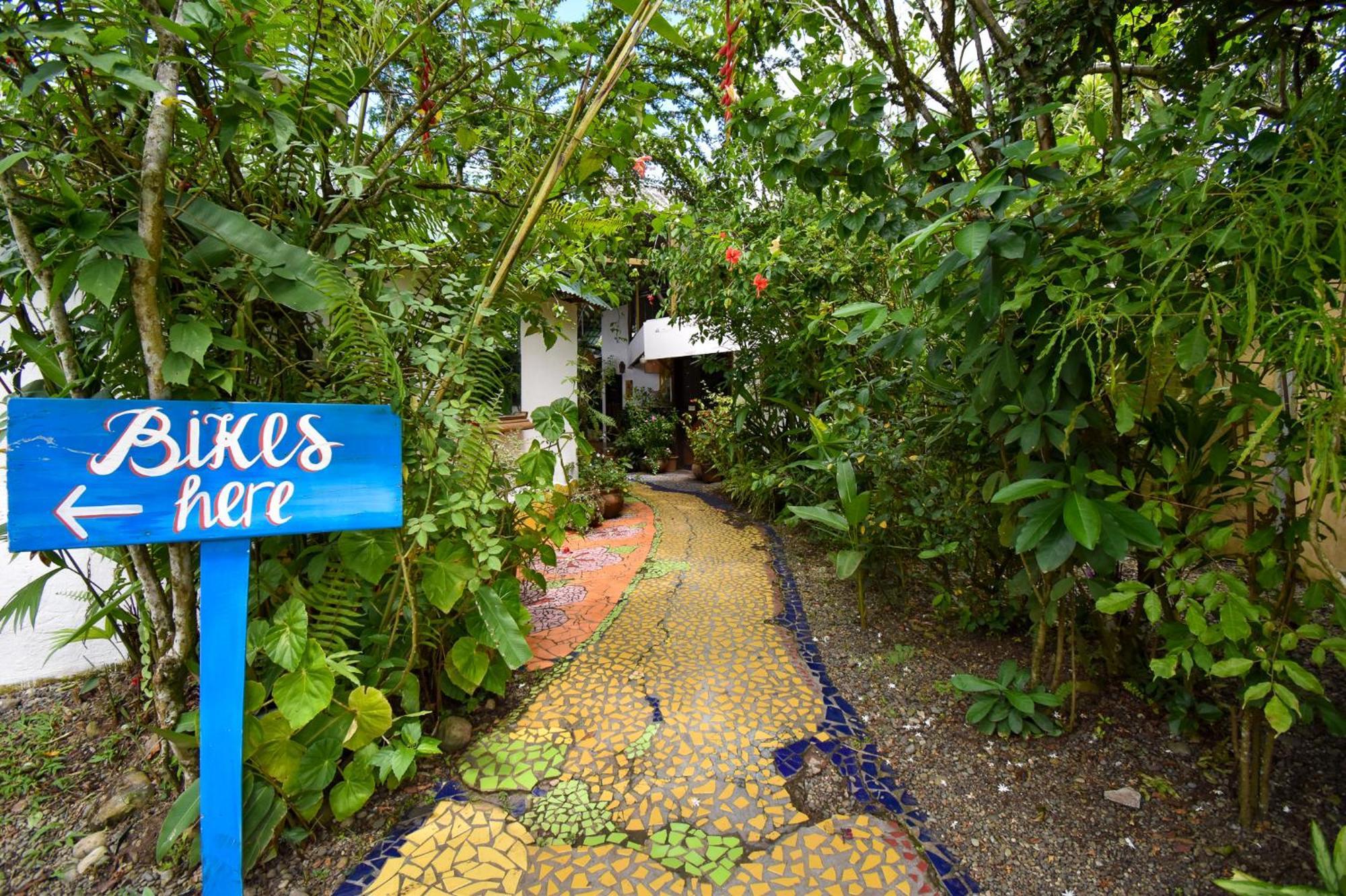Cabinas Jacaranda Puerto Viejo de Talamanca Exterior photo