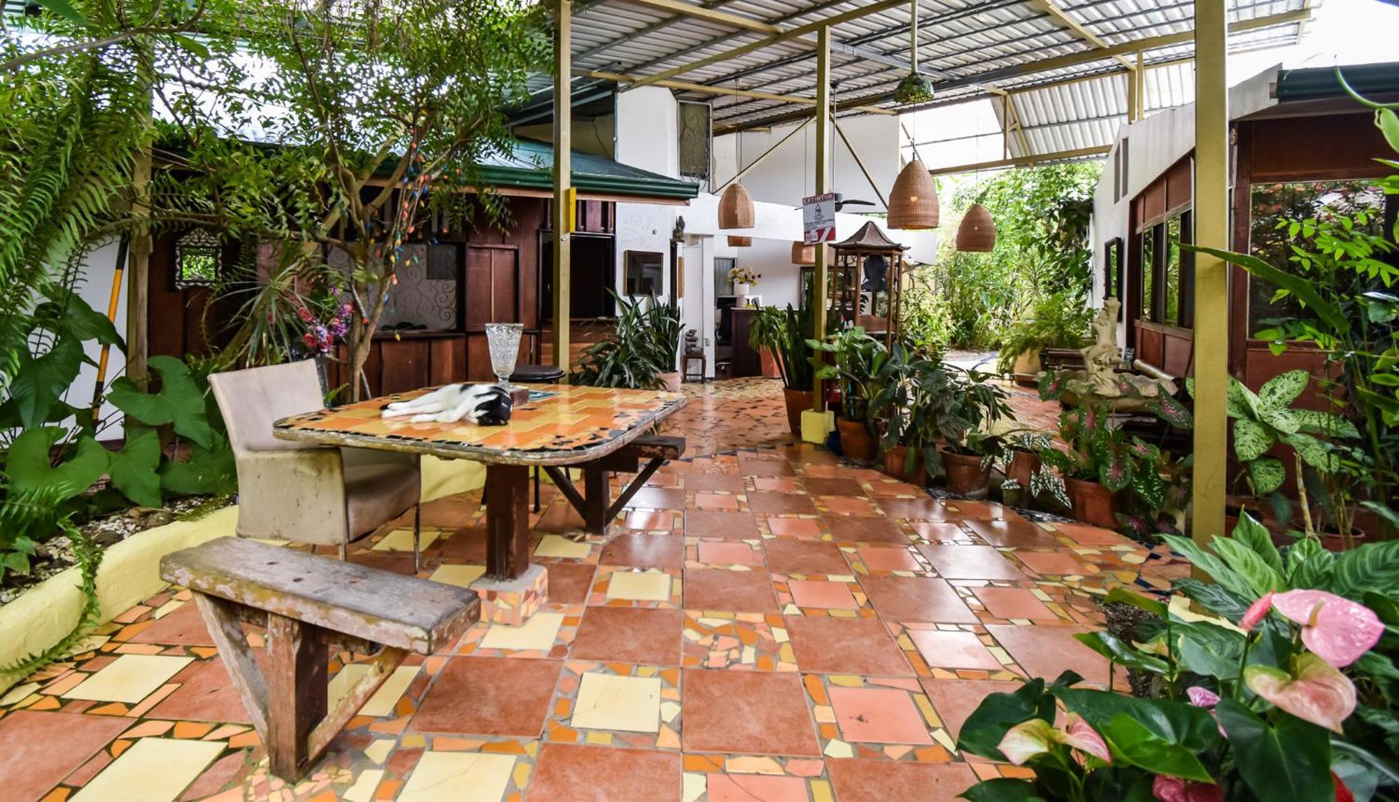 Cabinas Jacaranda Puerto Viejo de Talamanca Exterior photo
