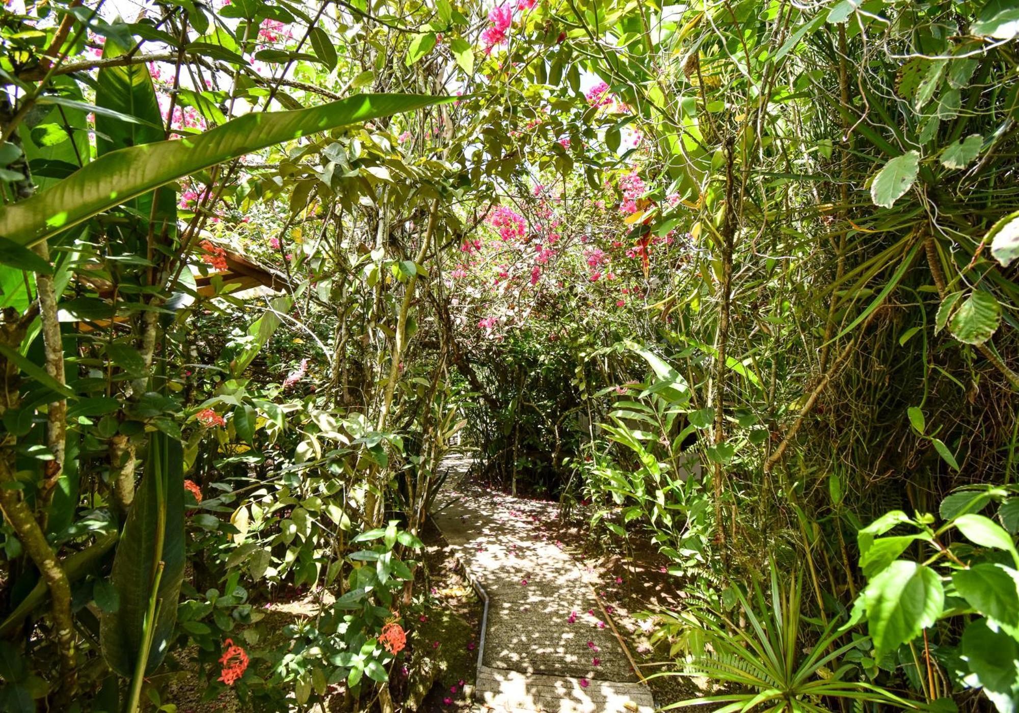 Cabinas Jacaranda Puerto Viejo de Talamanca Exterior photo